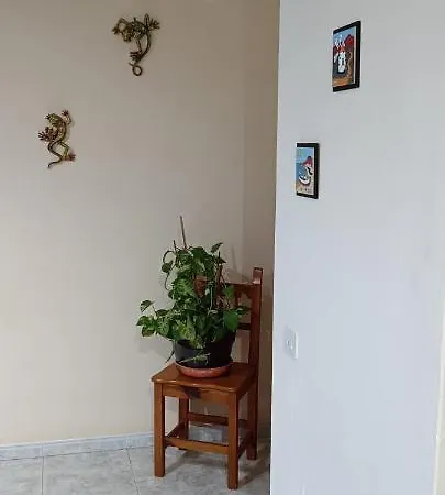 Апартаменты Casa Robyka